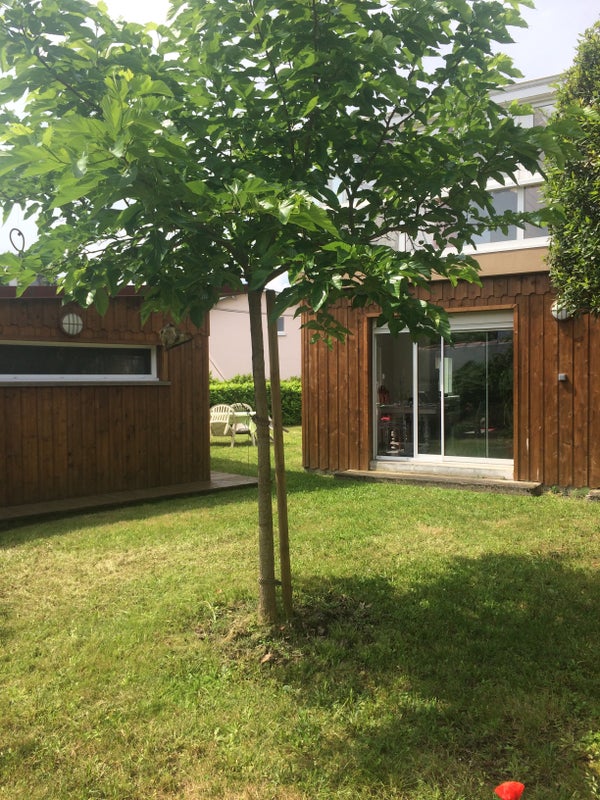 Photo 1: jardin a l'arrière