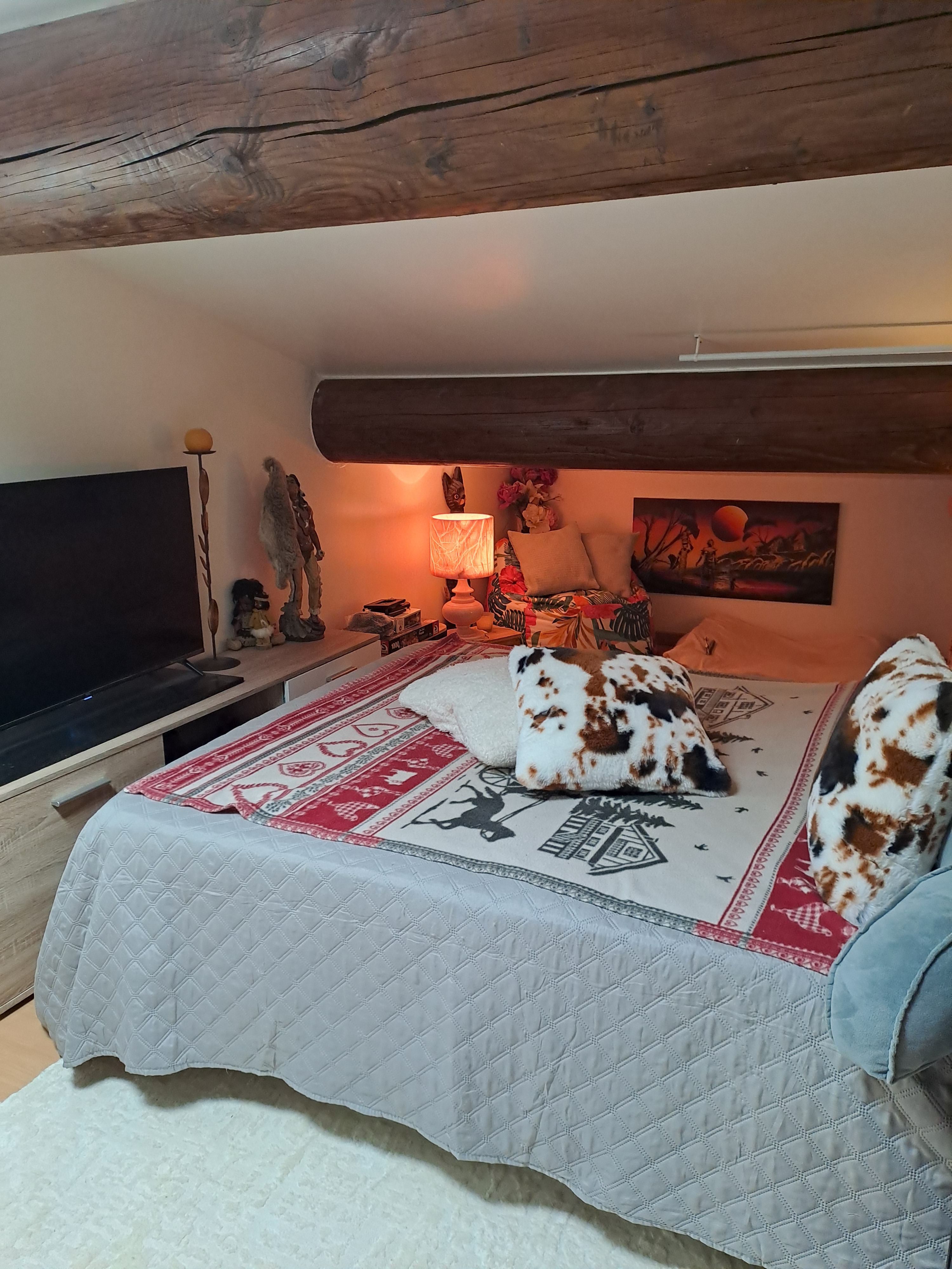 Colocation dans loft de 90m2 en campagne  Photo principale